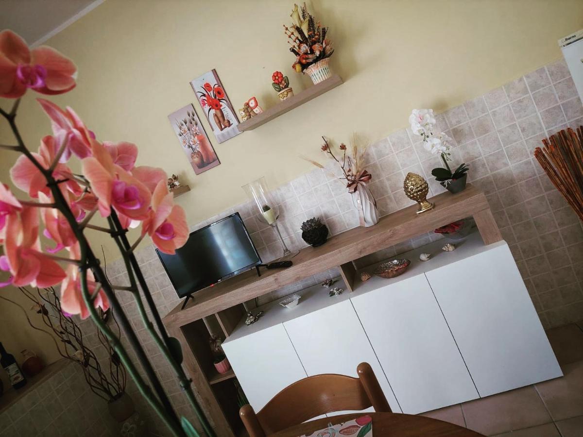 Macchiagodena B&B Da Manuela المظهر الخارجي الصورة